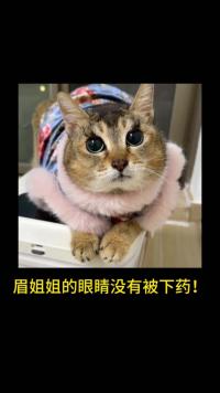 不要再说我给眉姐姐下什么扩瞳药了