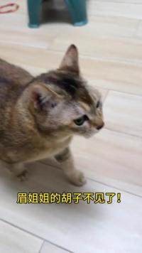 什么？眉姐姐的胡子怎么没了？