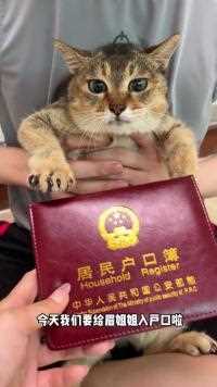 今天我们给眉姐姐入户口正名啦