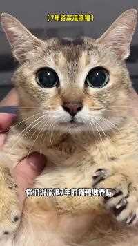 今天我决定把把眉姐姐放生了！