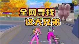 全网寻找这大兄弟