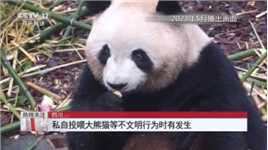 [热线12]热线关注四川违反园区管理规定多人被终身禁入熊猫中心各基地