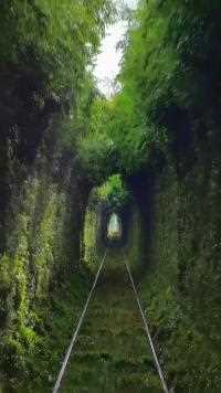 爱惨了这种氛围感分享给正在想念的人