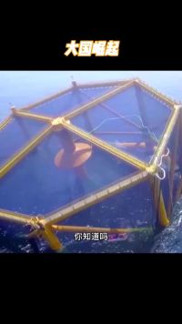 中国人在深海里建“鱼塘”，用行动证明 吃货的力量有多强大！  