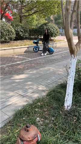 洋洋怎么走了啊？