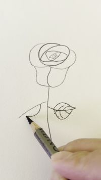 画简单有趣的玫瑰花，一起来画吧