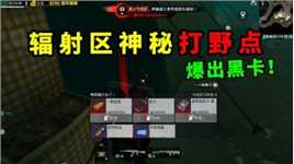 3图辐射区神秘打野点，每次去都爆金，还捡到一张黑卡！
