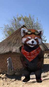 非洲酋长浣熊君