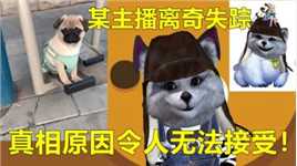 某主播离奇失踪？真相令人无法接受！