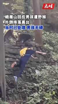 峨眉山景区回应男孩遭野猴扑倒摔下高台：男孩无碍，当时已有人员处理