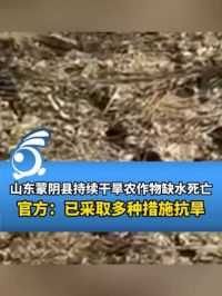 山东蒙阴县持续干旱农作物缺水死亡，官方：已采取多种措施抗旱。