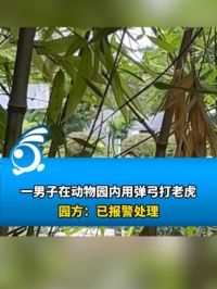 一男子在动物园内用弹弓打老虎，园方：已报警处理