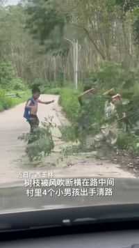 树枝被风吹断横在路中间，村里4个小孩出手清路。为孩子们点赞！