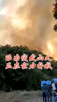 重庆巴南突发山火，正在全力扑救。 #火灾现场 #致敬消防员 