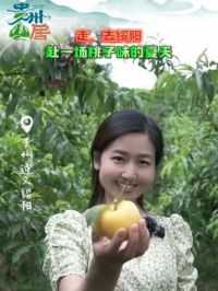 #贵州山居 走，去绥阳赴一场桃子味的夏天（来源：绥阳县融媒体中心）