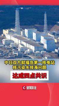 中日双方就福岛第一核电站核污染水排海问题达成四点共识