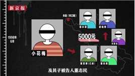 “丰县八孩女子”案梳理：小花梅遭虐待致精神分裂，董志民获刑九年