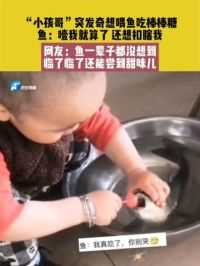 4月22日发布 江苏，”小孩哥“突发奇想喂鱼吃棒棒糖，鱼：噎我就算了，还想扣瞎我，网友：鱼一辈子都没想到，临了临了还能尝到甜味儿
