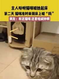 6月9日（发布）广东，主人吩咐猫咪喊她起床，第二天 猫咪准时来到床上喊“妈”，网友：有这猫咪，还要啥闹钟啊#萌宠