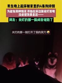 6月5日江苏，男生晚上起床被家里的4条狗绊倒，为避免同样情况，开始在床边装夜灯照明