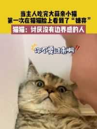 6月5日 山东，当主人吃完大蒜亲小猫，第一次在猫猫脸上看到了“嫌弃”，猫猫：讨厌没有边界感的人