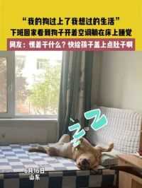 6月16日，山东，“我的狗过上了我想过的生活”，下班回家看到狗子开着空调躺在床上睡觉，网友：愣着干什么？快给孩子盖上点肚子啊