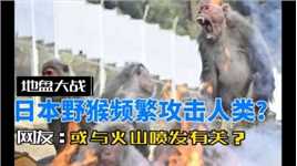日本发生“人猴大战”，野猴罕见攻击45人受伤，或与火山喷发有关