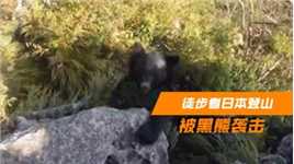 惊魂时刻！徒步者日本登山被黑熊袭击，“接化发”拳打脚踢大吼逃生