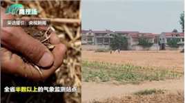 河南省应急管理厅：河南重旱特旱范围不断扩大，323万亩地无法播种