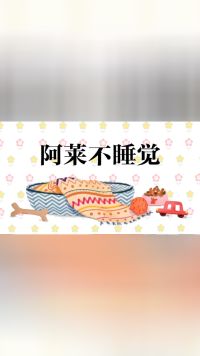 一只小狗叫阿莱~经典绘本动画片《阿莱不睡觉》