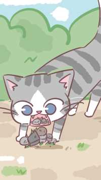 猫咪为什么吃石头？
