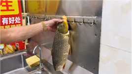 这样颜色的鲤鱼，像这样的做法，你想尝试吗？ #杀鱼技术 #杀鱼 #刀工 #地方特色美食 #美食vlog #横县鱼生