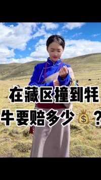 在藏区撞死一头牦牛要赔多少钱，听听藏族小姐姐给你们一一解答