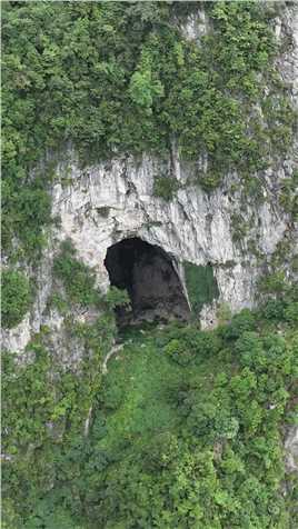 四川悬崖上发现神秘洞穴，奇大无比，当地老人都说没去过#探索发现 #春日踏青记 