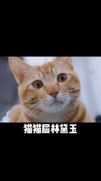 猫咪林黛玉