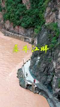 长江支流嘉陵江最大支流，西汉水，又名犀牛江。 #山青水秀好地方 #行走山水间 #陇南