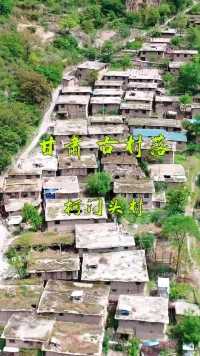甘肃大山里，有一村庄，屋顶全为草料和泥土铺盖而成，是目前保存比较完整的具有古羌建筑风格的古村落