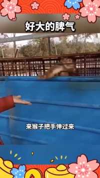 来微视，玩转互动视频。