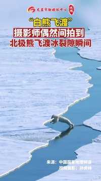 白熊飞渡！摄影师偶然间拍到极为难得的北极熊飞渡冰裂隙瞬间。