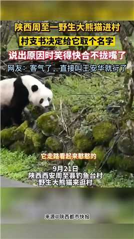 客气了，直接叫王安华就行了！ #大熊猫 