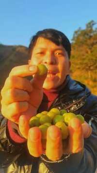 这种果子吃起来先苦后甜，回味无穷，你们喜欢吗？ #我为家乡农产品代言 #新鲜水果