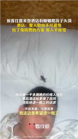 旅客住喜来登酒店有蟑螂爬孩子头顶，酒店：夏天蚊虫不可避免