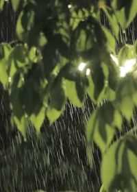 雨一直下！中央气象台继续发布暴雨黄色预警，11省区将现大到暴雨