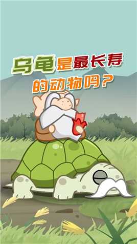 “千年王八万年龟”是真的吗？#搞笑 # 
