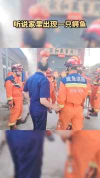 消防员：你感动吗？鳄鱼：我不敢动。 @安阳消防 #消防救援 