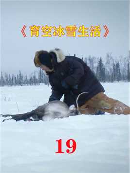 育空冰雪生活19：狩猎驼鹿，治疗生病的小狗#经典影视考古计划 