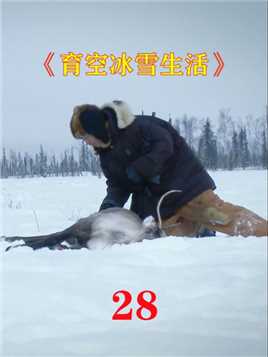 育空冰雪生活28：修理下水道，狩猎驼鹿#经典影视考古计划 