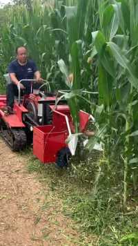 多功能履带拖拉机玉米收获作业