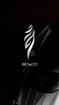 比亚迪汉重新设计！#比亚迪车标 #品牌logo设计 #商标设计