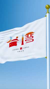 祖国领土完整不可分割，为中国台湾省设计个logo  #台湾省 #中国台湾 #字体logo设计
